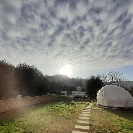 Bed and Breakfast Le Mammole San Miniato Exterior foto
