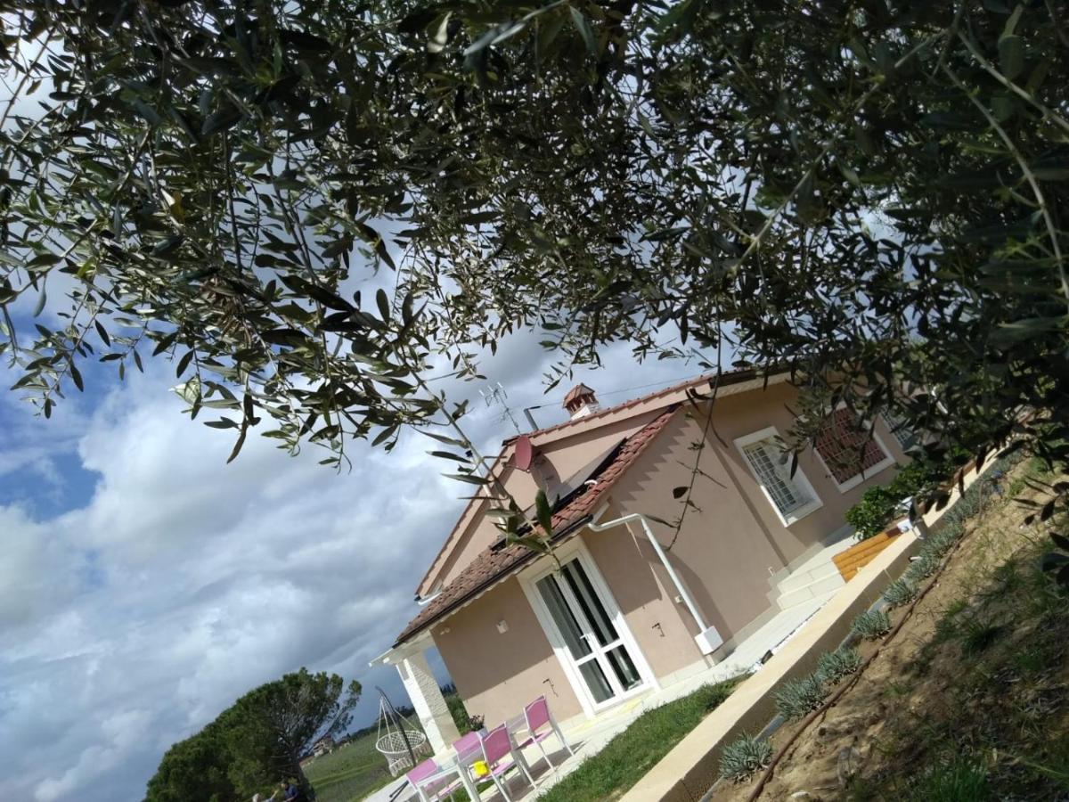 Bed and Breakfast Le Mammole San Miniato Exterior foto