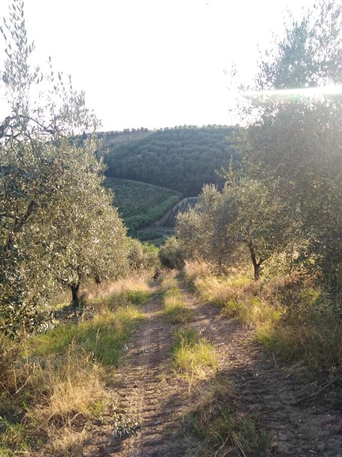 Bed and Breakfast Le Mammole San Miniato Exterior foto