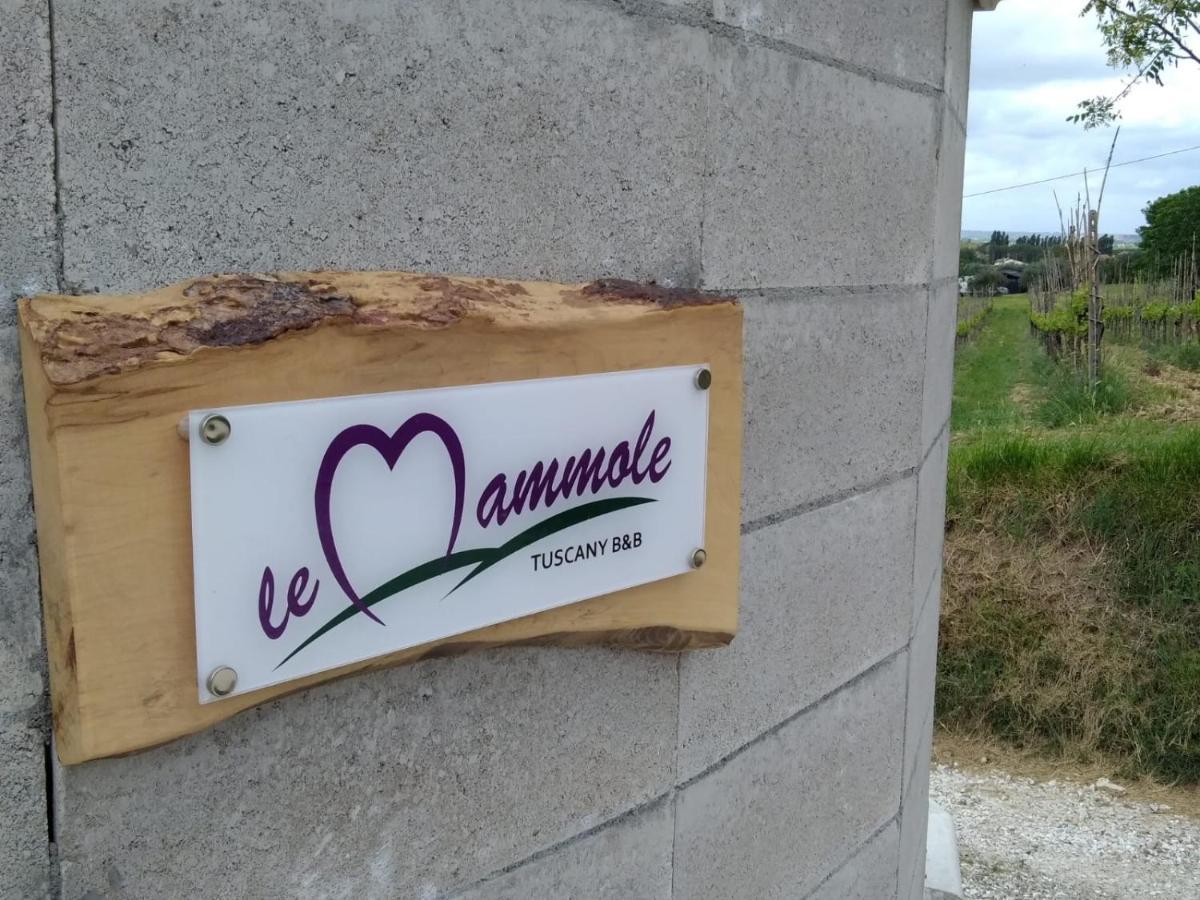 Bed and Breakfast Le Mammole San Miniato Exterior foto