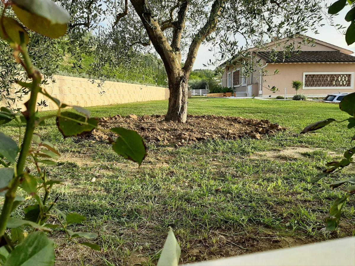 Bed and Breakfast Le Mammole San Miniato Exterior foto