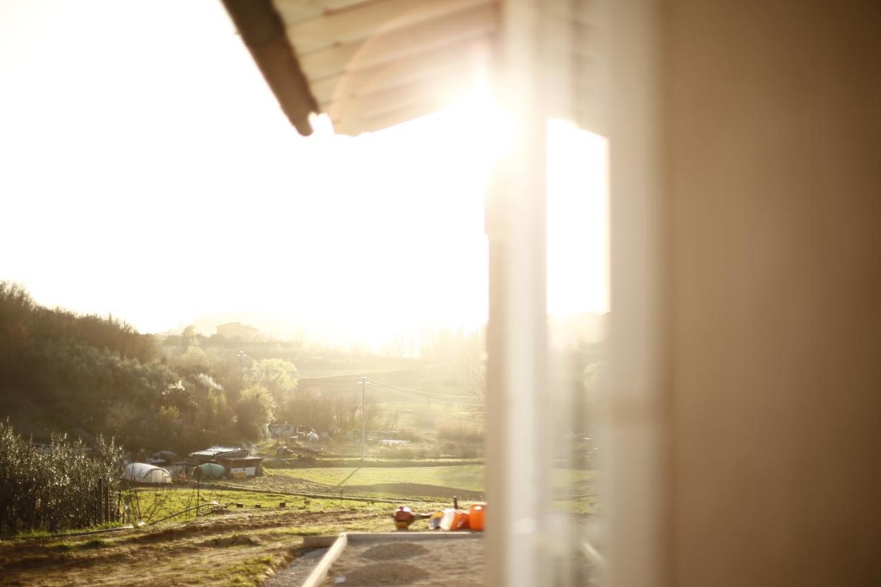 Bed and Breakfast Le Mammole San Miniato Exterior foto