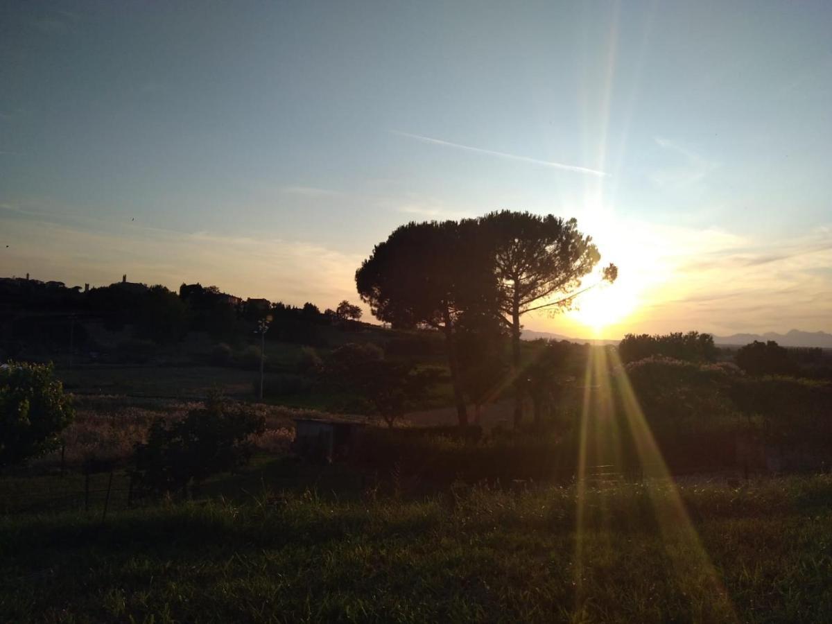 Bed and Breakfast Le Mammole San Miniato Exterior foto